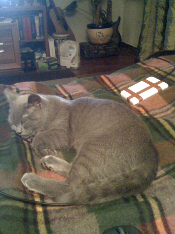 Евгений Упитер фотография #33