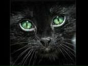 Фотография Смирновой Анастасии