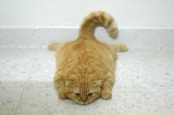 Фотография Новак Светланы