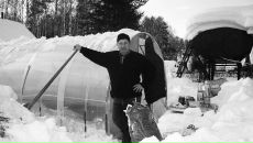 Фотография Бражникова Сергея