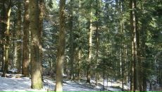 Dmitriy Galich фотография #41 (источник - https://vk.com/id2574196)