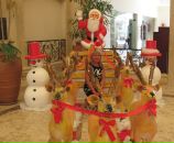 Фотография Кощеевой Натальи