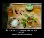 Денис Чириков фотография #8 (источник - https://vk.com/id9476982)