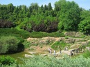 Марія Нестерова фотография #7 (источник - https://vk.com/id116617223)