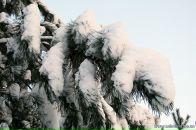 Олег Скуйбіда фотография #37 (источник - https://vk.com/id41536667)