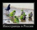Фотография Желтухина Илюхи