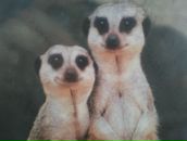 Фотография Громова Игоря