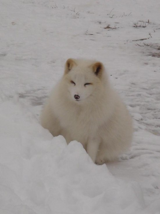Сергей Муравьев фотография #10