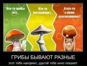 Фотография Глушкова Дениса