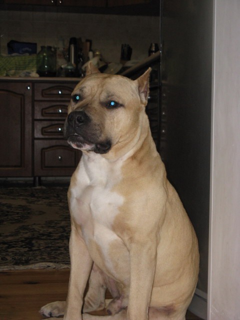 Сергей Дедов фотография #6