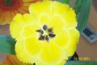 Фотография Кузнецовой Натальи