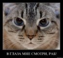 Хэй _куликов_ фотография #18 (источник - https://vk.com/id63813271)