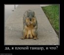 Фотография Белкина Игоря
