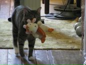 Фотография Касиковой Маргариты