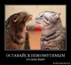 Фотография Логинова Игоря