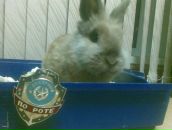 Фотография Теплова Олега