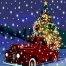 Фотография Чичировой Юланы