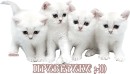 Фотография Тихоновой Марины