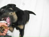 Виктор Ємець фотография #42 (источник - https://vk.com/id35676355)