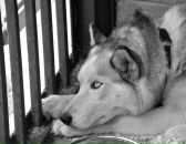 Фотография Губаревой Екатерины