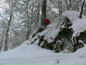 Фотография Ковеленова Дмитрия