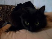 Наталія Гурик фотография #32 (источник - https://vk.com/id26237210)