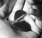 Фотография Потемкиной Татьяны