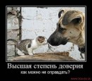 Фотография Мосейчук Людмилы