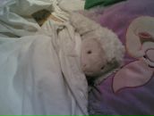 Фотография Чашкиной Дарьи