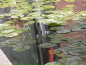 Фотография Златогорской Ларисы