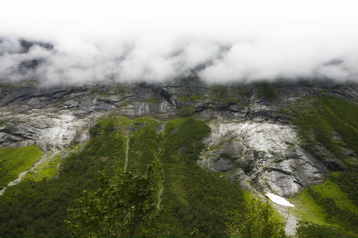 Дарья Горячева фотография #20