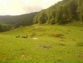 Юрій Мішуровський фотография #24 (источник - https://vk.com/id36709363)