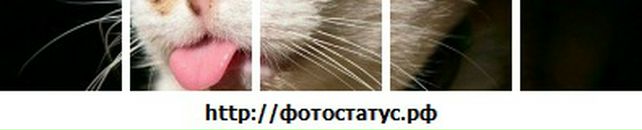 Діана Пастух фотография #11 (источник - https://vk.com/id58203697)