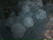 Інна Владика фотография #15 (источник - https://vk.com/id72707106)