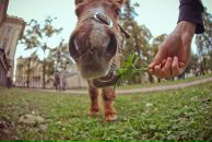 Фотография Melbourne Katerina