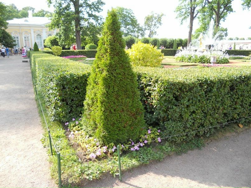 Сергей Орел фото №7