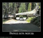 Оксана Василищенко фотография #39 (источник - https://vk.com/id10636833)