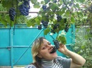 Фотография Дольниковой Елены
