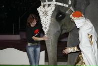 Фотография Гавриловой Татьяны