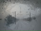 Фотография Лобзовой Али