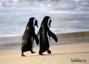 Фотография Васиной Карины