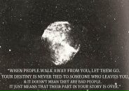 Анастасія Васенко фотография #50 (источник - https://vk.com/id8113927)