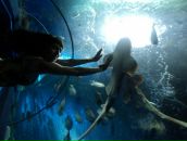 Francua *_*_* фотография #7 (источник - https://vk.com/id68343578)