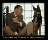 Саняwerevolf Сірко фотография #41 (источник - https://vk.com/id17585298)