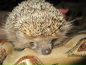 Фотография Валентиновой Ирины