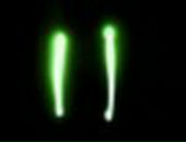 Христя Белей-Батіг фотография #19 (источник - https://vk.com/id86833143)