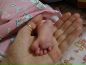 Фотография Kramareva Ekaterina