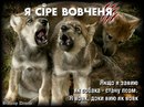 Андрей Лічаченко фотография #24 (источник - https://vk.com/id154354761)
