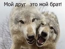 Богдан Юрійович фотография #49 (источник - https://vk.com/id159167024)