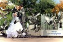 Εлизавета Κондратьева фотография #9 (источник - https://vk.com/id161757300)